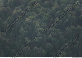 Photo of Mixed Textures